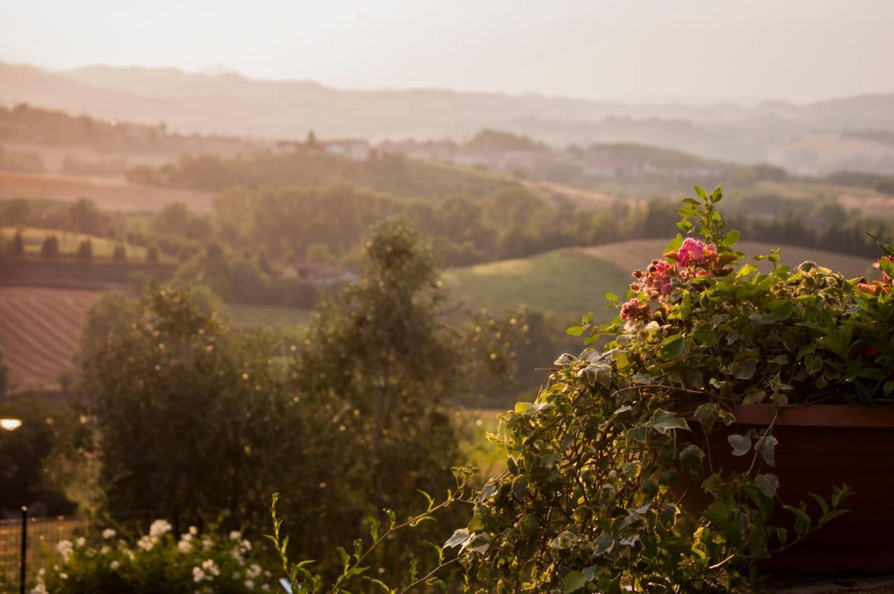 Tenuta San Rocco Conzano Luaran gambar
