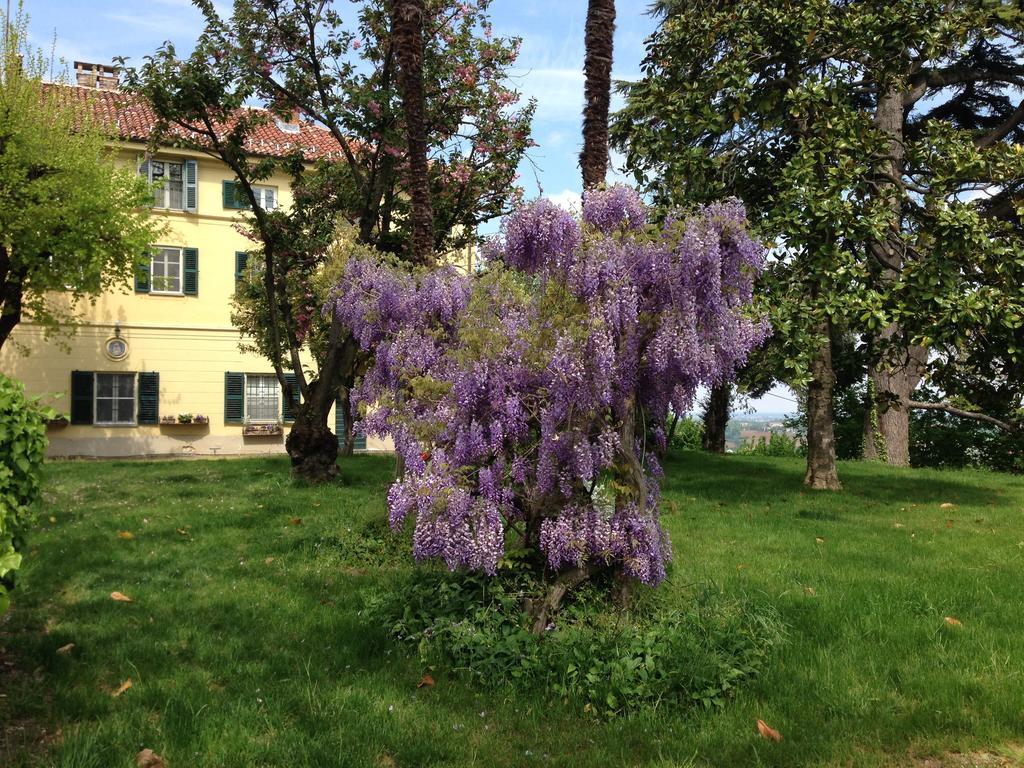 Tenuta San Rocco Conzano Luaran gambar