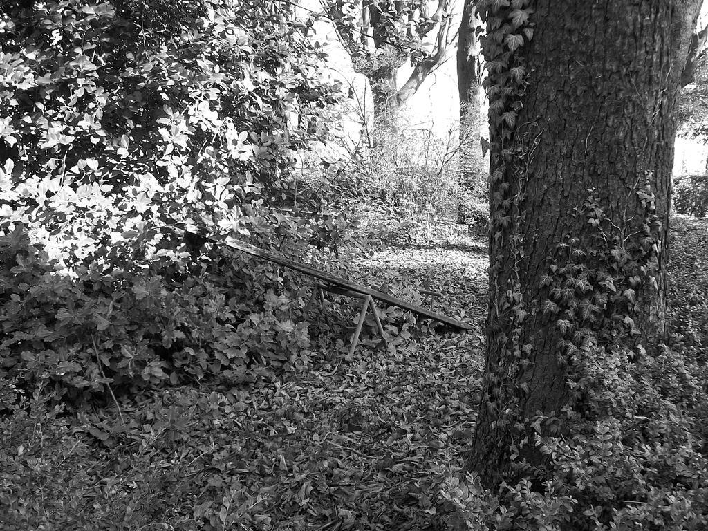 Tenuta San Rocco Conzano Luaran gambar